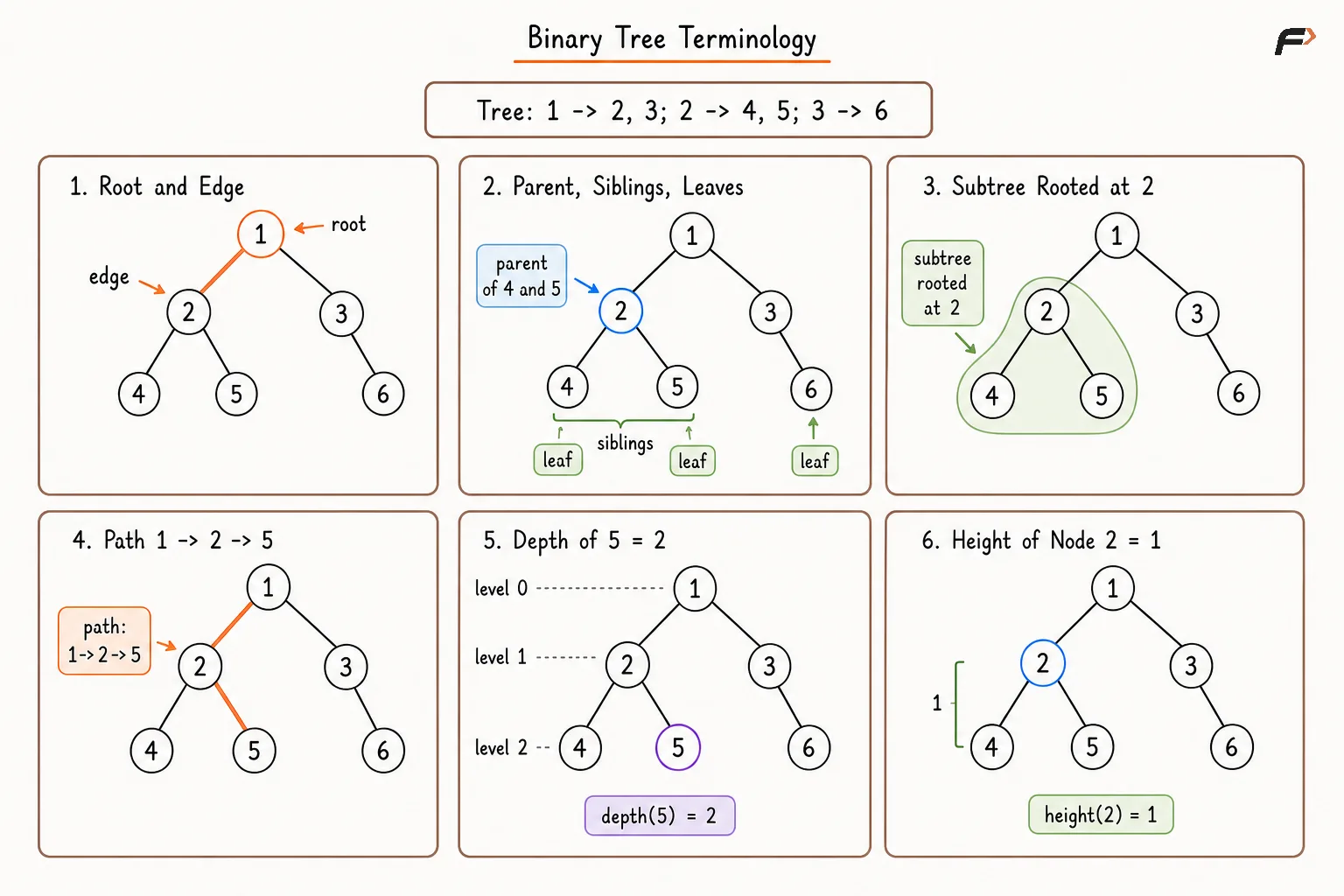 Binary Tree Terminology.png