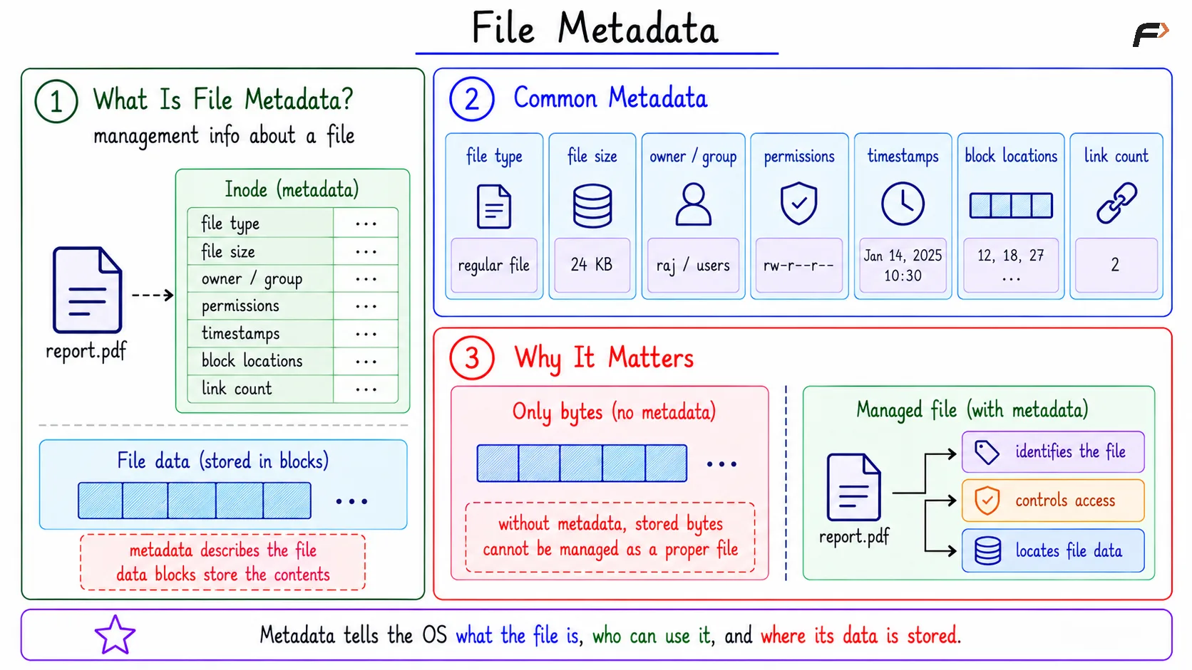 File Metadata