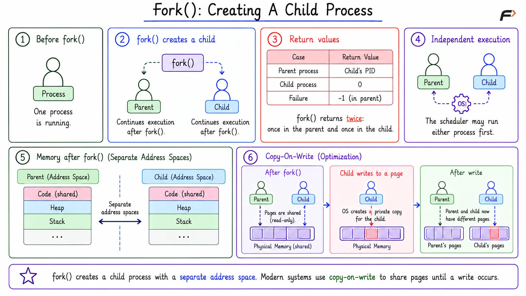 fork(): Creating A Child Process