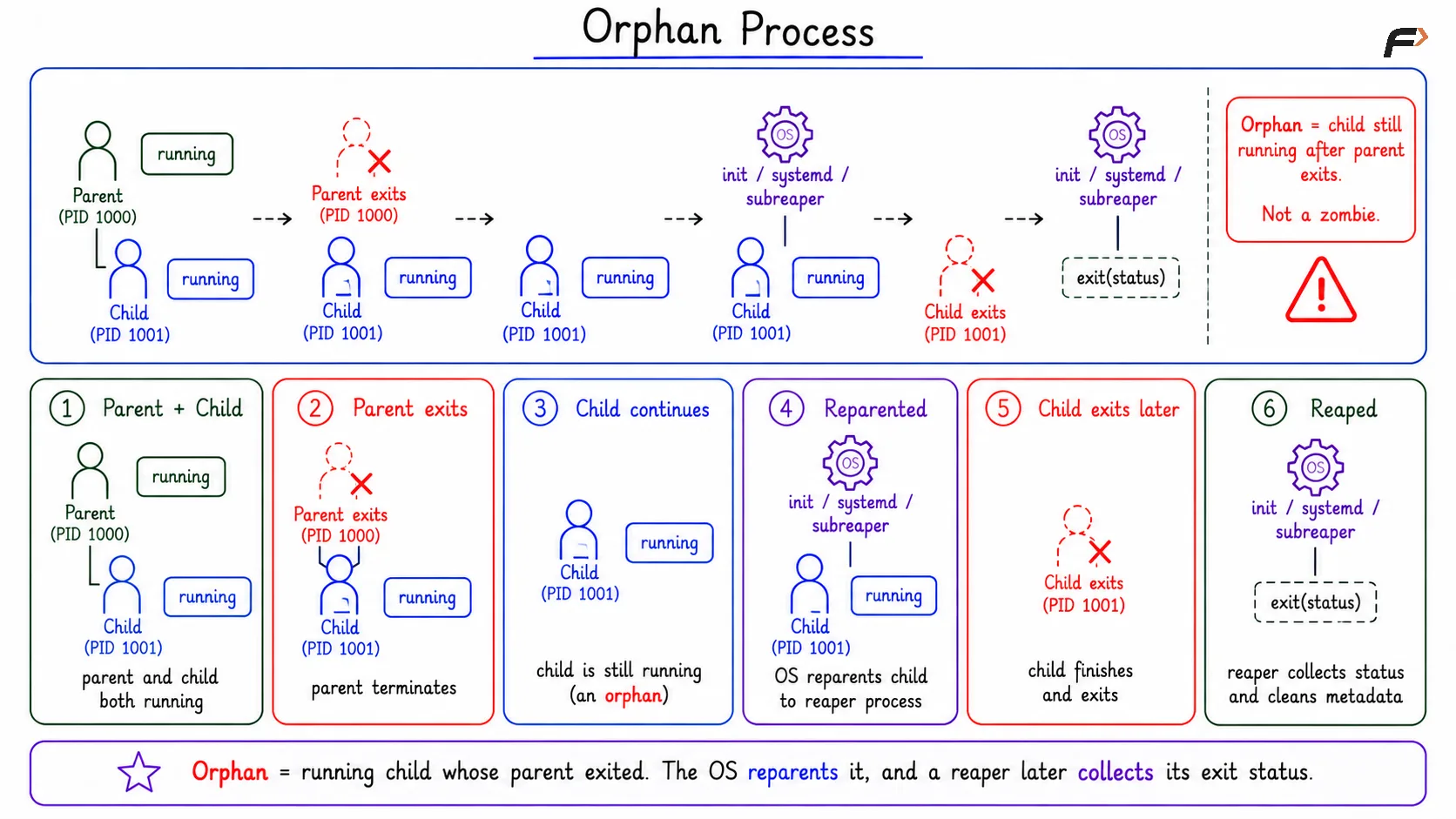 Orphan Process