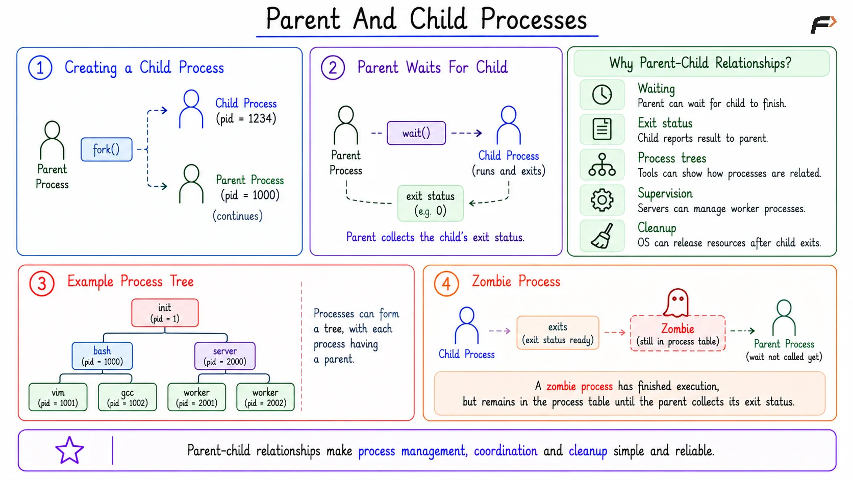 Parent And Child Processes