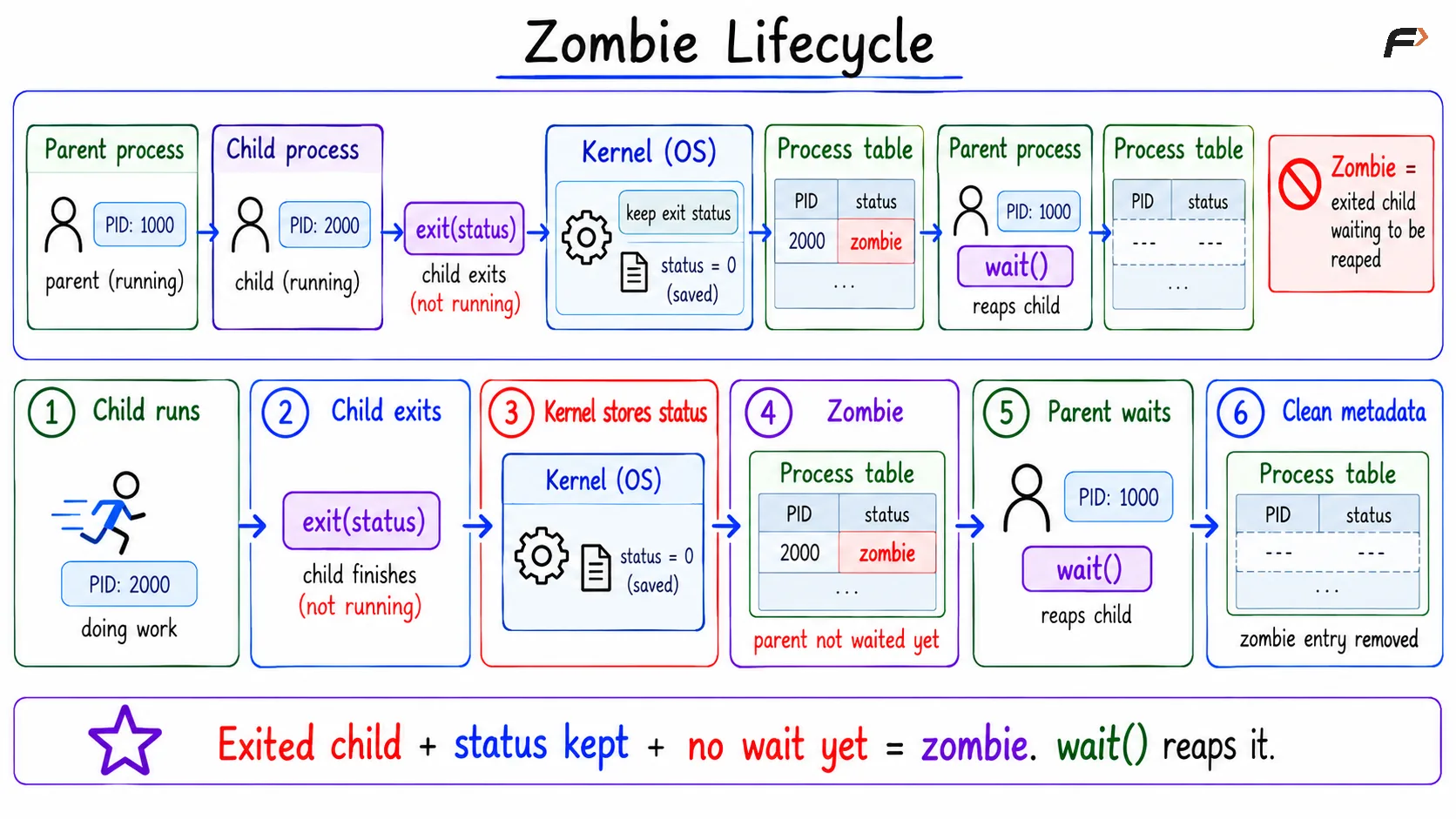 Zombie Lifecycle