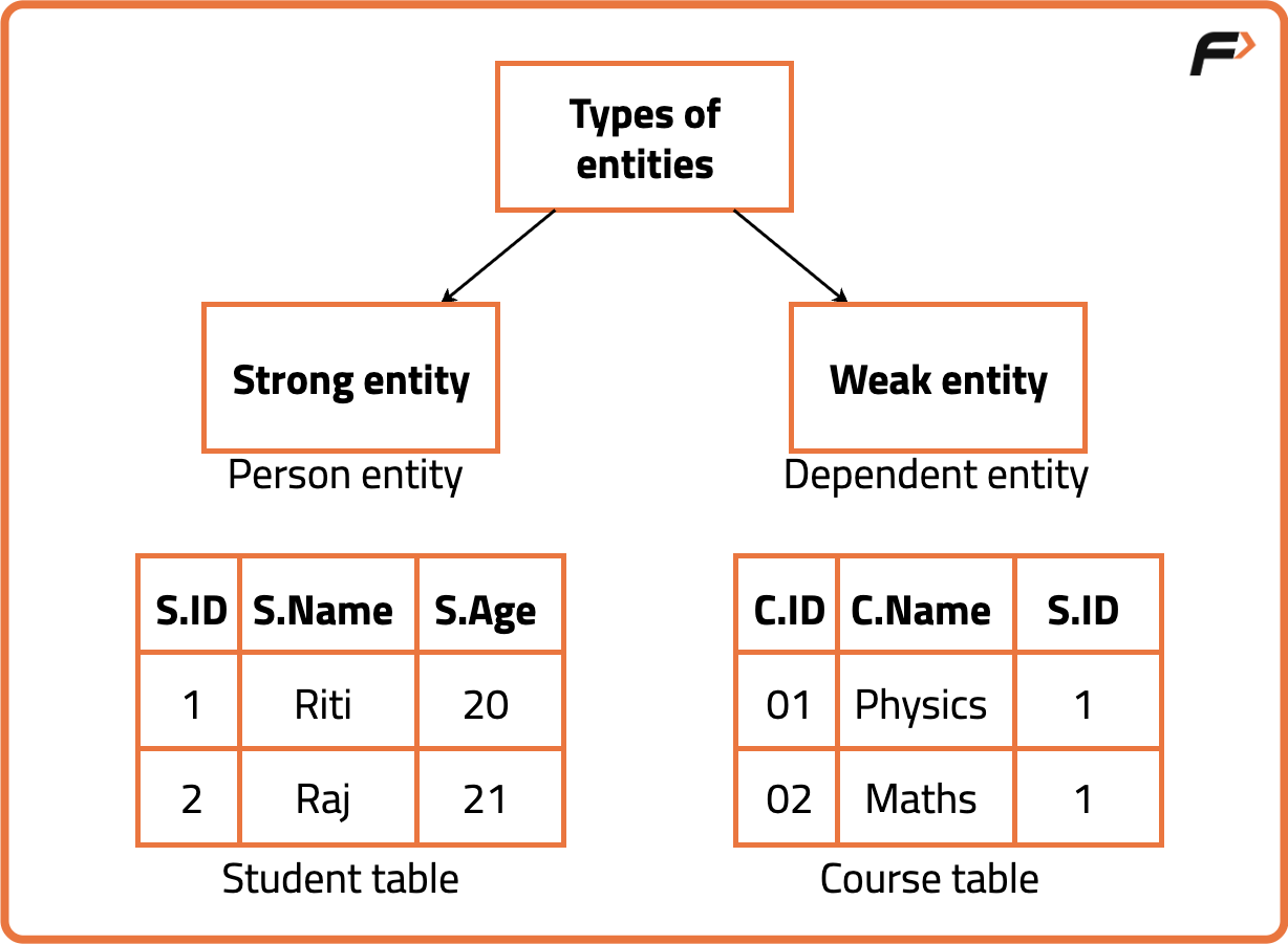 Entity and Its Types - Tutorial